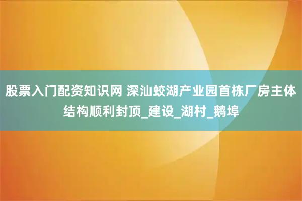 股票入门配资知识网 深汕蛟湖产业园首栋厂房主体结构顺利封顶_建设_湖村_鹅埠