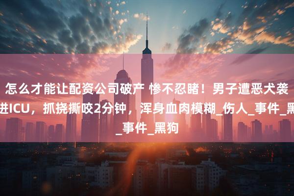 怎么才能让配资公司破产 惨不忍睹！男子遭恶犬袭击进ICU，抓挠撕咬2分钟，浑身血肉模糊_伤人_事件_黑狗