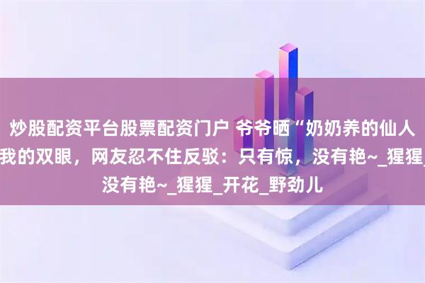 炒股配资平台股票配资门户 爷爷晒“奶奶养的仙人球”：惊艳了我的双眼，网友忍不住反驳：只有惊，没有艳~_猩猩_开花_野劲儿