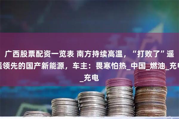 广西股票配资一览表 南方持续高温，“打败了”遥遥领先的国产新能源，车主：畏寒怕热_中国_燃油_充电